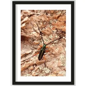 Veilige Betaling Art Print High on Life Insect